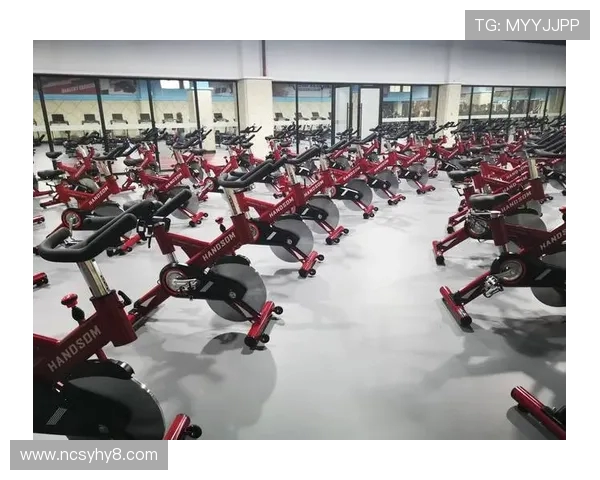 国际专业健身器材品牌介绍及市场影响 国际专业健身器材品牌介绍及市场影响