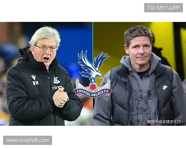 英超水晶宫现任主教练个人履历公开