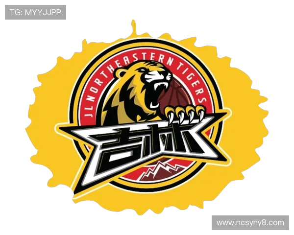 CBA篮球队队徽设计风格与变化发展历程 CBA篮球队队徽设计风格与变化发展历程