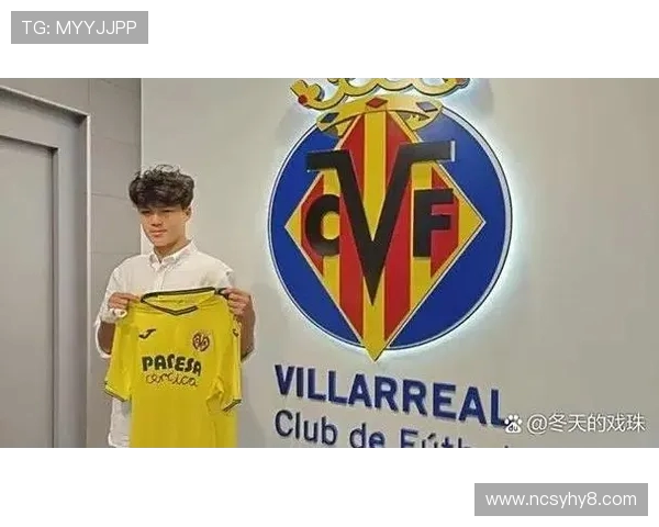 杨晨在德甲效力过的球队及其职业影响力分析