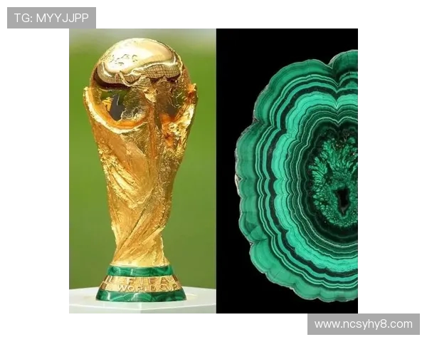 回顾1998年法国世界杯荷兰黄金一代的荣耀与遗憾六剑客风云征程